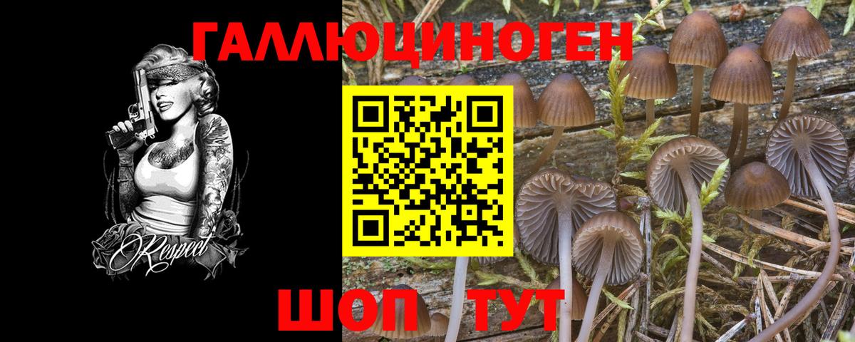 Галлюциногенные грибы MAGIC MUSHROOMS  Вход с VPN  Псилоцибиновые грибы Cubensis  Майкоп 
